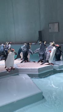 AOAO SAPPOROに投稿された画像（2023/12/29）