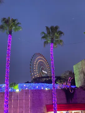 ひらかたパークに投稿された画像（2023/12/29）