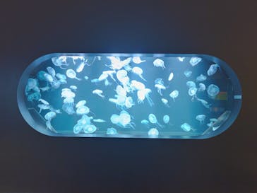 AOAO SAPPOROに投稿された画像（2023/12/29）