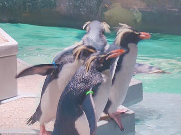 AOAO SAPPOROに投稿された画像（2023/12/29）