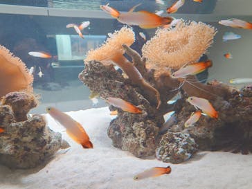 AOAO SAPPOROに投稿された画像（2023/12/29）