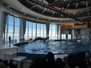 アクアワールド茨城県大洗水族館に投稿された画像（2023/12/29）