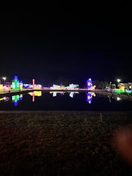 鹿児島イルミナージュに投稿された画像（2023/12/29）