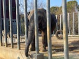 しろとり動物園に投稿された画像（2023/12/29）