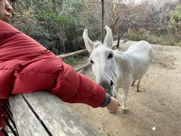 しろとり動物園に投稿された画像（2023/12/29）