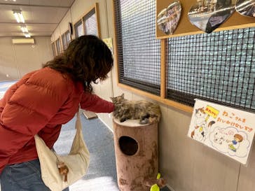 しろとり動物園に投稿された画像（2023/12/29）