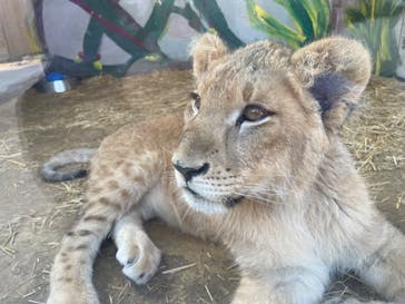 しろとり動物園に投稿された画像（2023/12/29）