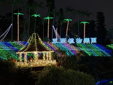 美らヤシパークオキナワ・東南植物楽園に投稿された画像（2023/12/29）