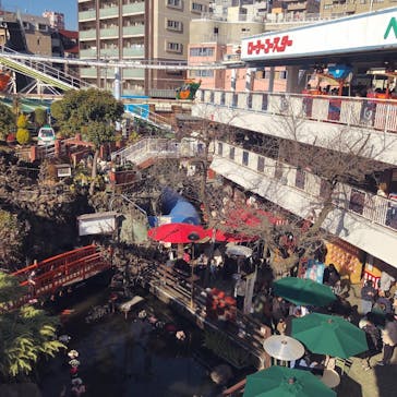 浅草花やしきに投稿された画像（2023/12/29）