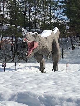 福井県立恐竜博物館に投稿された画像（2023/12/29）