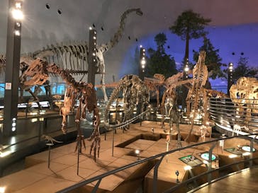 福井県立恐竜博物館に投稿された画像（2023/12/29）