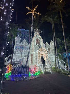 美らヤシパークオキナワ・東南植物楽園に投稿された画像（2023/12/29）