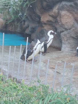 サンシャイン水族館に投稿された画像（2023/12/29）