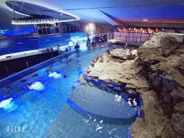 サンシャイン水族館に投稿された画像（2023/12/29）