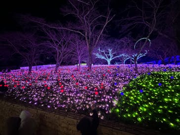 さがみ湖MORI MORIに投稿された画像（2023/12/29）