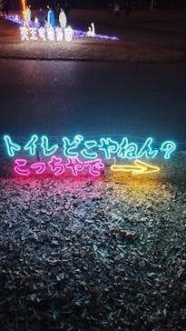 大阪城イルミナージュに投稿された画像（2023/12/29）