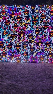 大阪城イルミナージュに投稿された画像（2023/12/29）