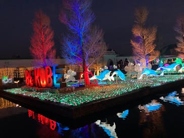 神戸イルミナージュに投稿された画像（2023/12/29）