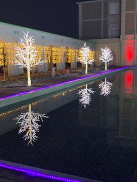 神戸イルミナージュに投稿された画像（2023/12/29）