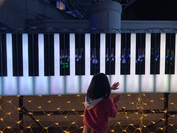 神戸イルミナージュに投稿された画像（2023/12/29）