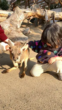 神戸どうぶつ王国に投稿された画像（2023/12/29）