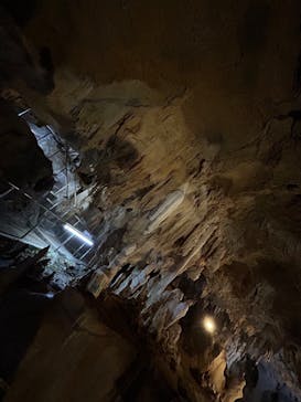 石垣島鍾乳洞に投稿された画像（2023/12/29）