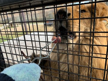 那須サファリパークに投稿された画像（2023/12/29）