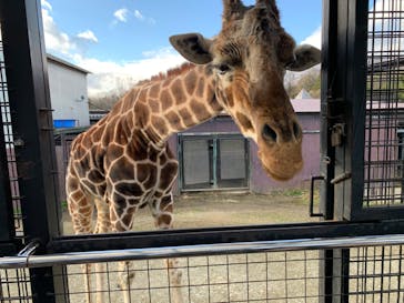 那須サファリパークに投稿された画像（2023/12/29）