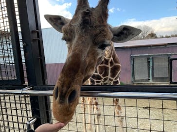 那須サファリパークに投稿された画像（2023/12/29）