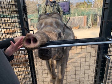 那須サファリパークに投稿された画像（2023/12/29）