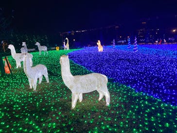 東武動物公園に投稿された画像（2023/12/29）