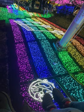 さがみ湖MORI MORIに投稿された画像（2023/12/29）