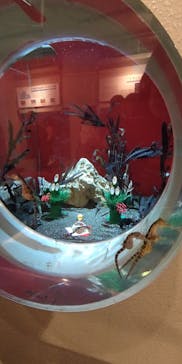しながわ水族館に投稿された画像（2023/12/29）