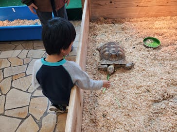 いきもの探検隊上尾に投稿された画像（2023/12/29）