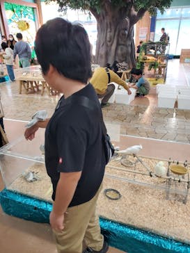 いきもの探検隊上尾に投稿された画像（2023/12/29）