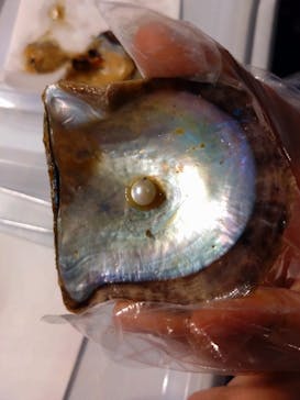 しながわ水族館に投稿された画像（2023/12/29）