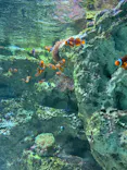 サンシャイン水族館に投稿された画像（2023/12/30）