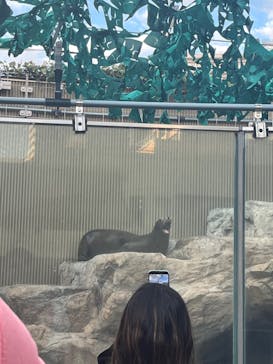 サンシャイン水族館に投稿された画像（2023/12/29）