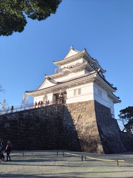 小田原城に投稿された画像（2023/12/29）