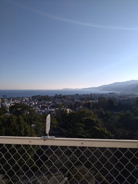 小田原城に投稿された画像（2023/12/29）