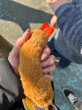 グリーンランドに投稿された画像（2023/12/29）