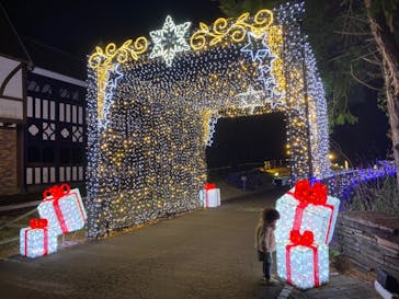 修善寺虹の郷に投稿された画像（2023/12/29）