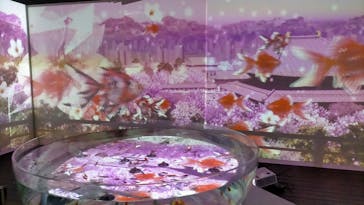 NARA IKIMONO MUSEUMに投稿された画像（2023/12/29）