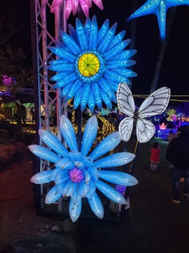 伊豆ぐらんぱる公園に投稿された画像（2023/12/29）