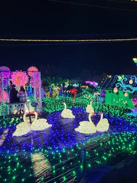 伊豆ぐらんぱる公園に投稿された画像（2023/12/29）