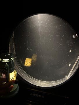 新江ノ島水族館に投稿された画像（2023/12/29）