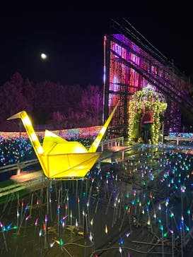 伊豆ぐらんぱる公園に投稿された画像（2023/12/29）