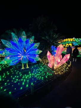 伊豆ぐらんぱる公園に投稿された画像（2023/12/29）