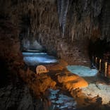 おきなわワールドに投稿された画像（2023/12/30）