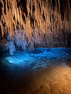 おきなわワールドに投稿された画像（2023/12/30）